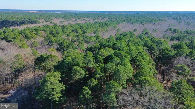 $319,000 | Sika Whitetail & Turkey Sika Whitetail & Turkey Church Creek Road, Cambridge, MD 21613