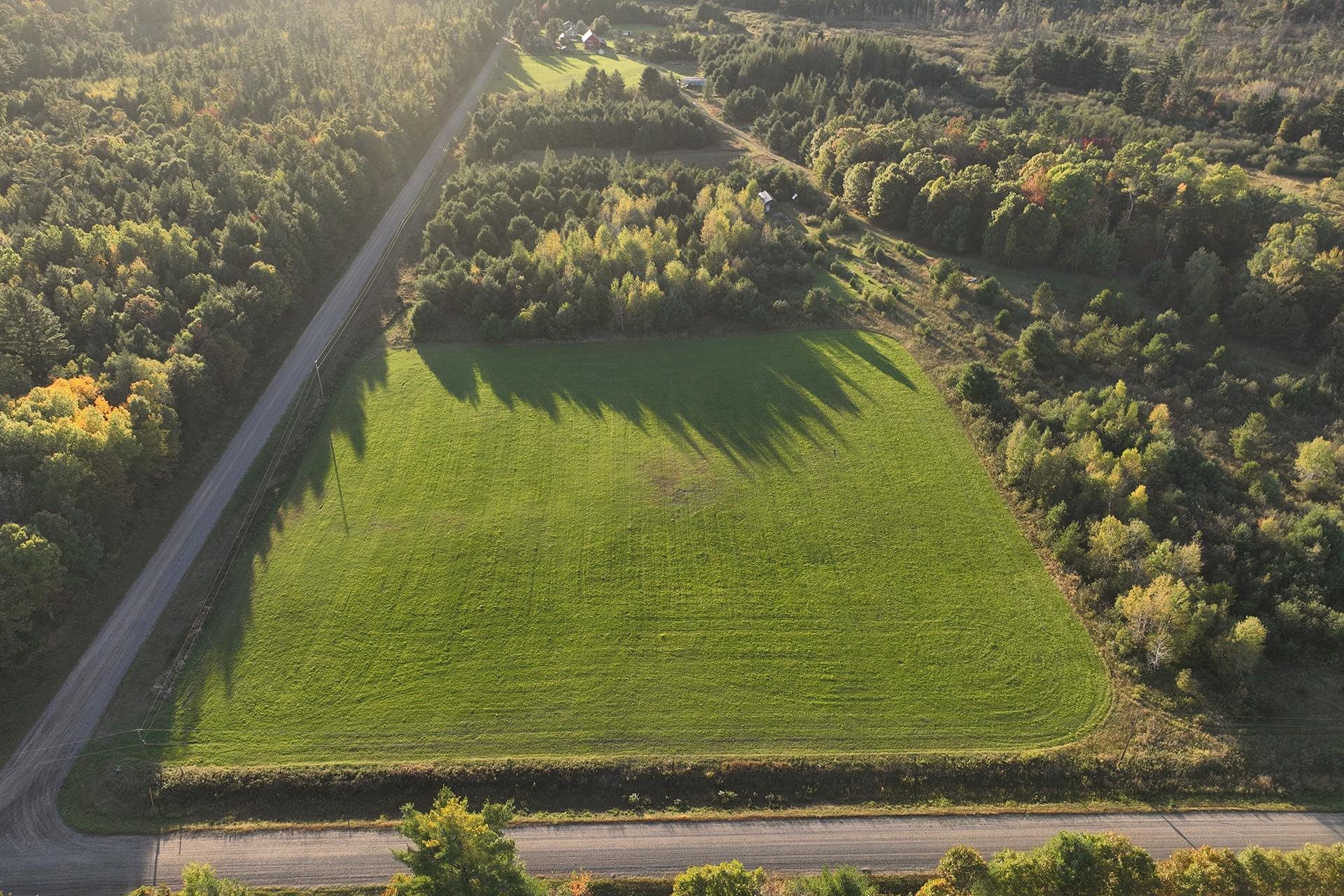 81-acres Anderson Road Neillsville, WI 54456 - Photo 31 of 38
