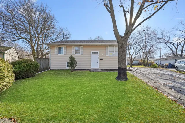 a view of a backyard with a large tree