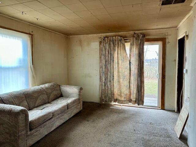 3593 South Maple Island Road Hesperia, MI 49421 - Photo 4 of 12 3593SMapleIsland-LivingRm