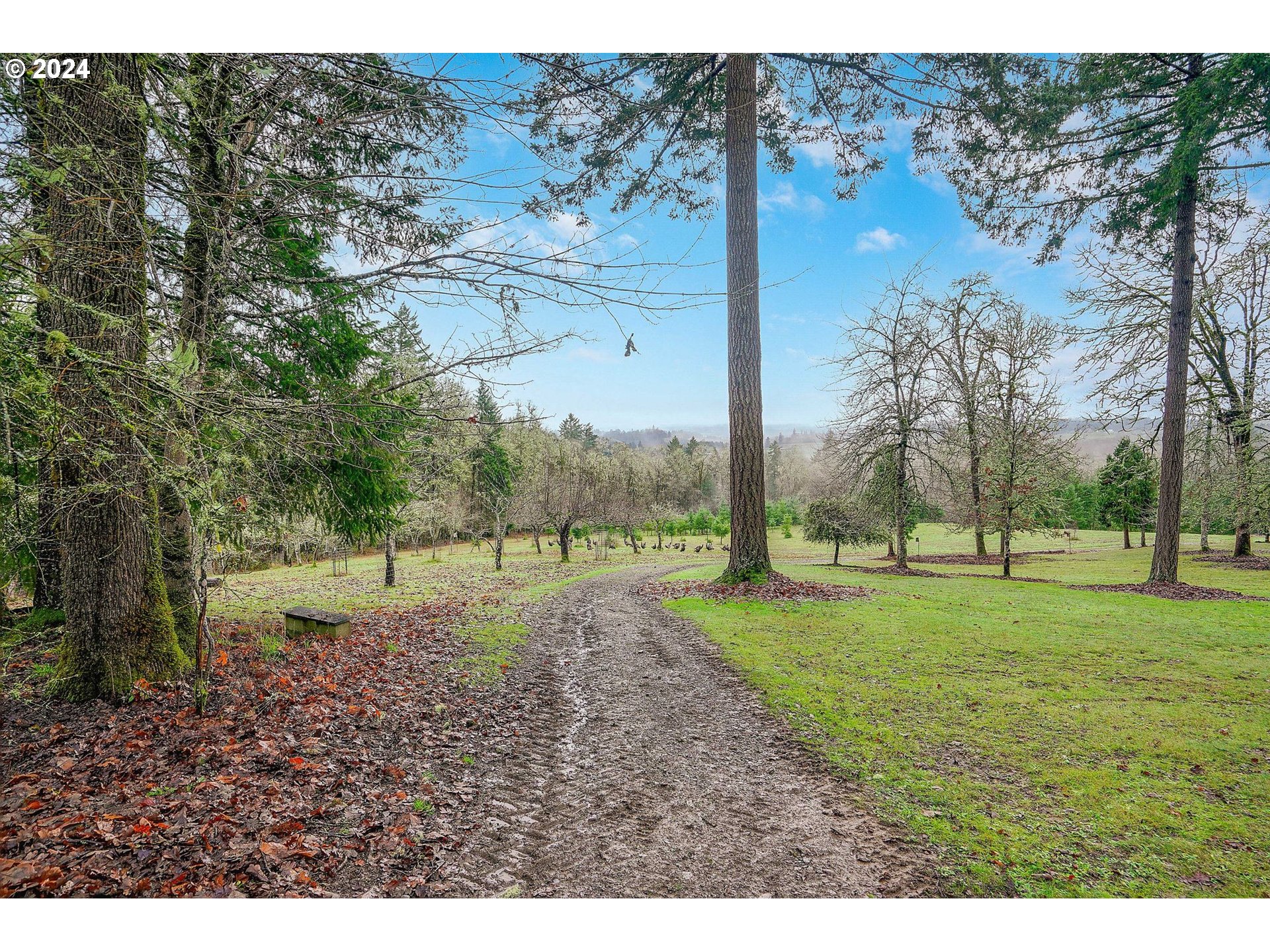 2080 Cherry Knoll Road Dallas, OR 97338 - Photo 45 of 48 a big yard with lots of green space