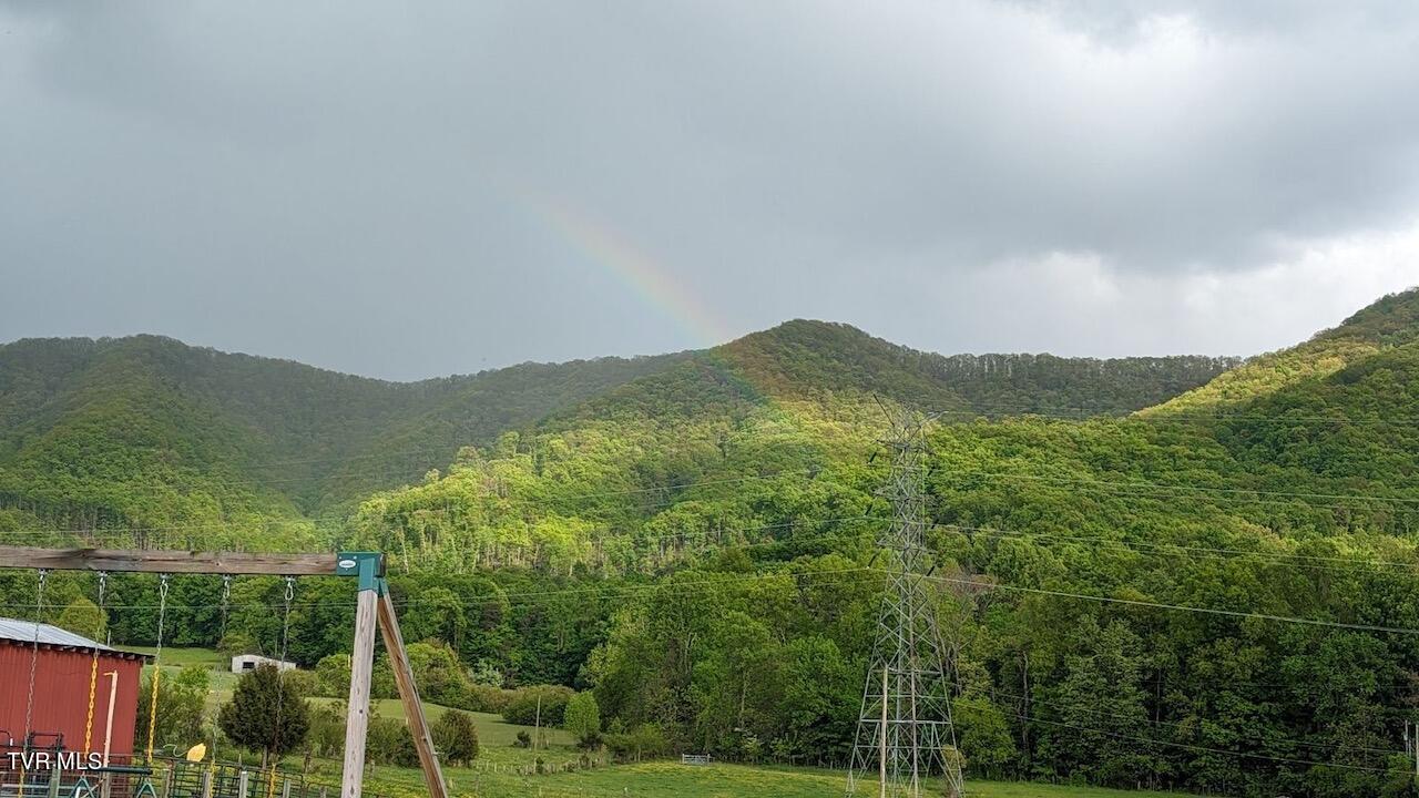 259 Bill Bennett Road Johnson City, TN 37604 - Photo 54 of 61 IMG_6719