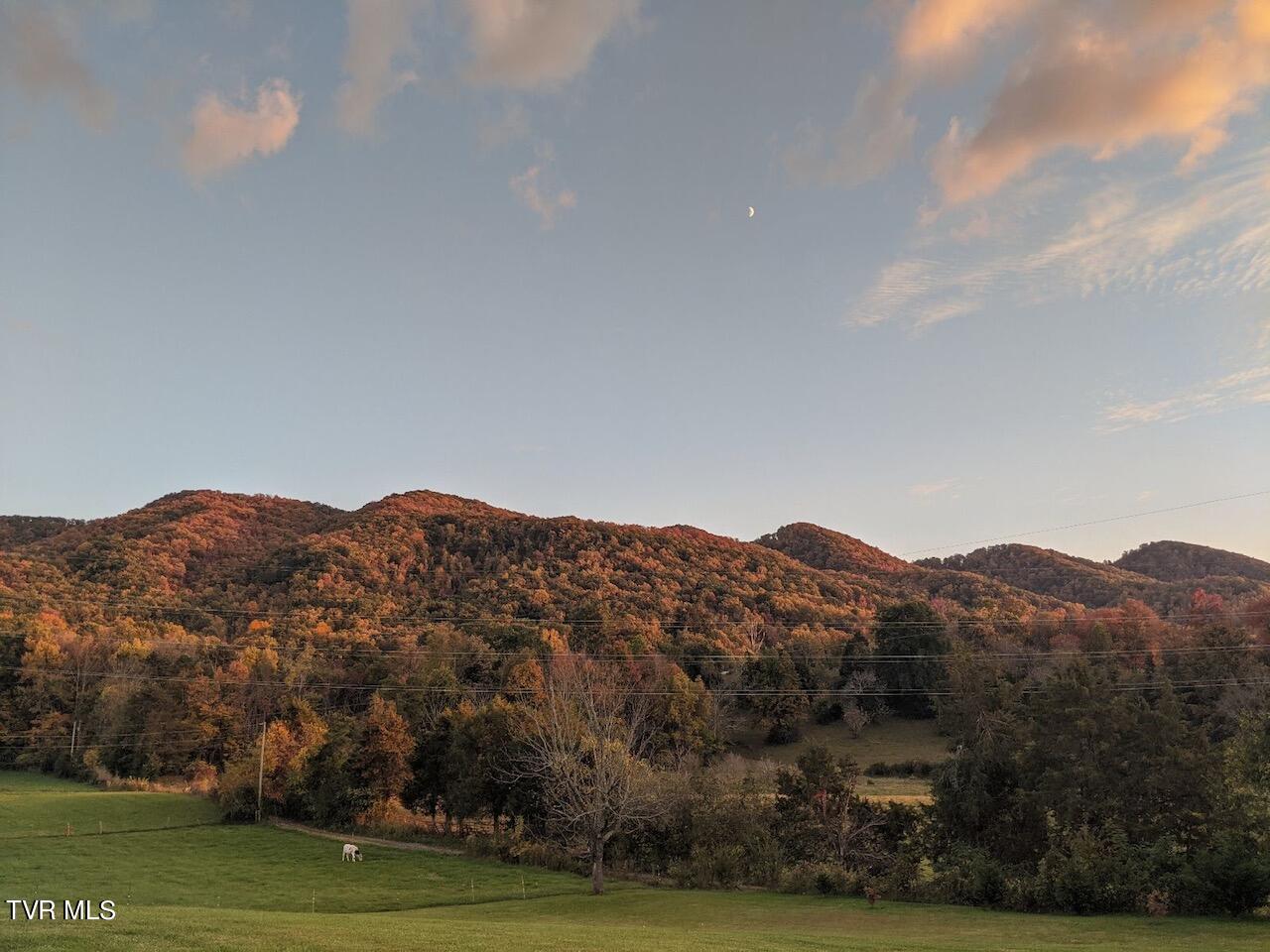 259 Bill Bennett Road Johnson City, TN 37604 - Photo 57 of 61 IMG_6726