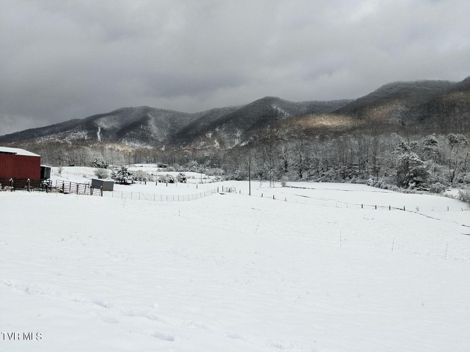 259 Bill Bennett Road Johnson City, TN 37604 - Photo 58 of 61 IMG_6722