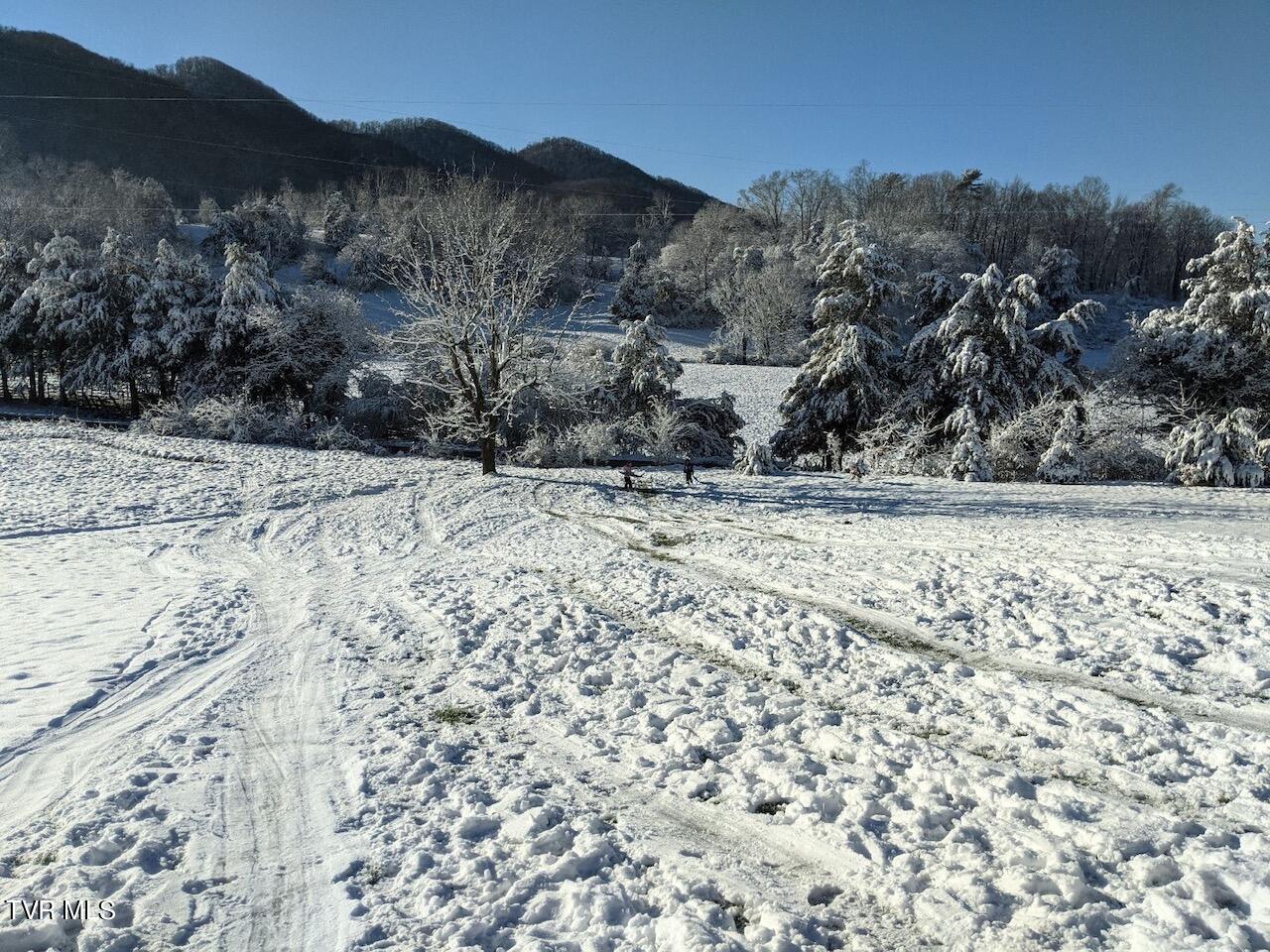 259 Bill Bennett Road Johnson City, TN 37604 - Photo 59 of 61 IMG_6721