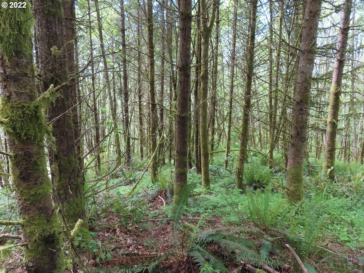 808 Clark Creek Road, Unit F Longview, WA 98632 - Photo 15 of 23 Gallery Image 15
