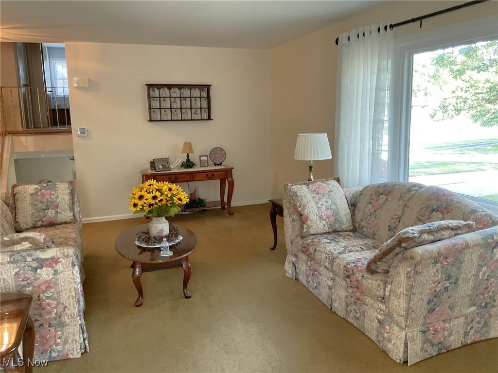 2478 Barrington Road Akron, OH 44333 - Photo 4 of 23 Window treatments and carpet enhance the living room