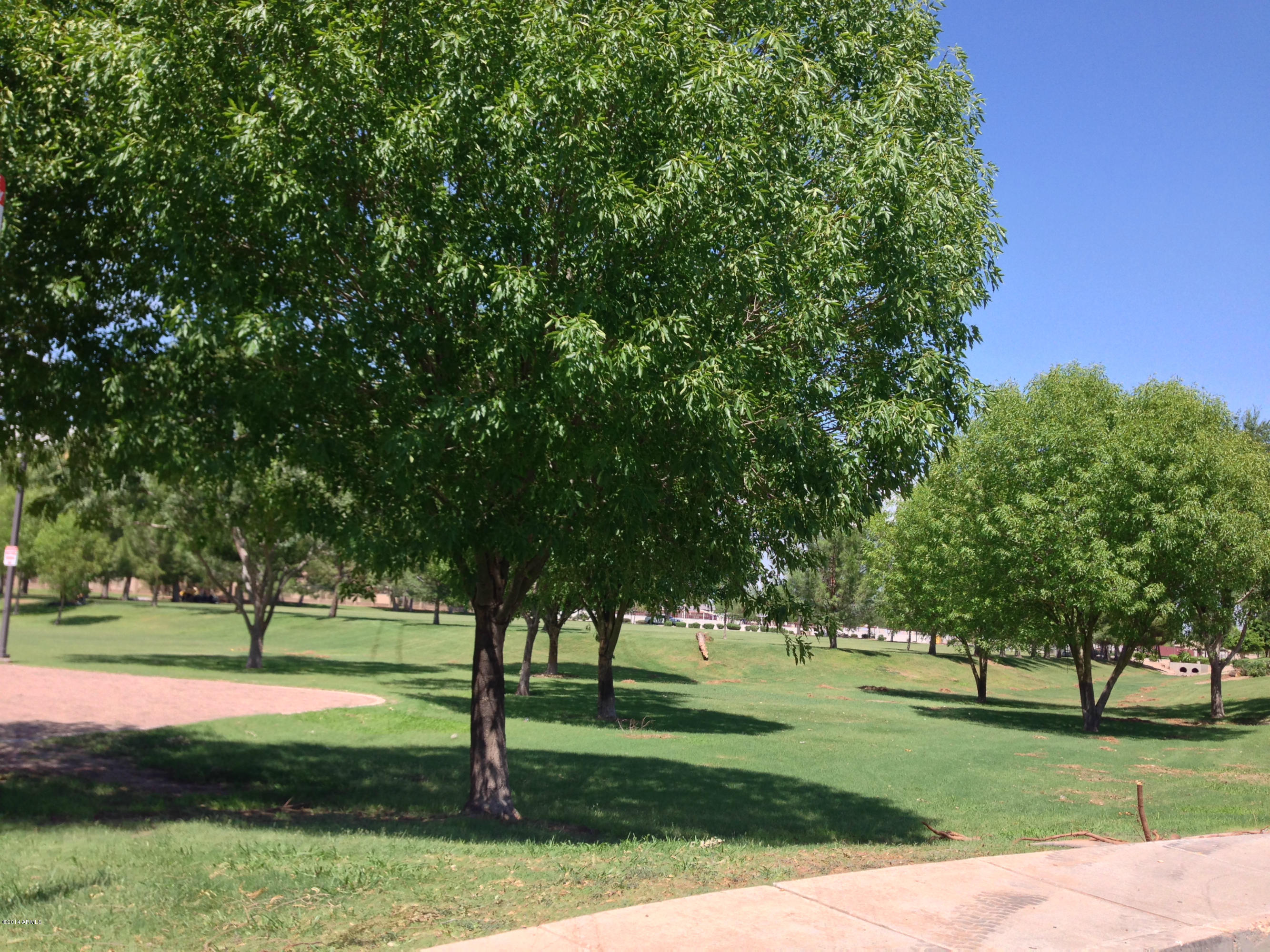 2043 East Willow Wick Road Gilbert, AZ 85296 - Photo 17 of 17 IMG_1850