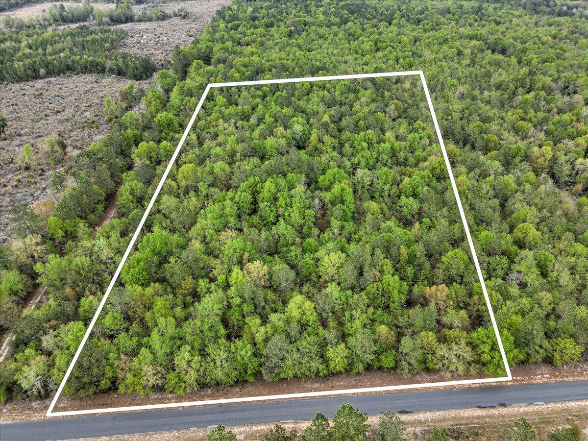 0 Millers Pond Road, Unit LOT 2 Salley, SC 29137 - Photo 2 of 13