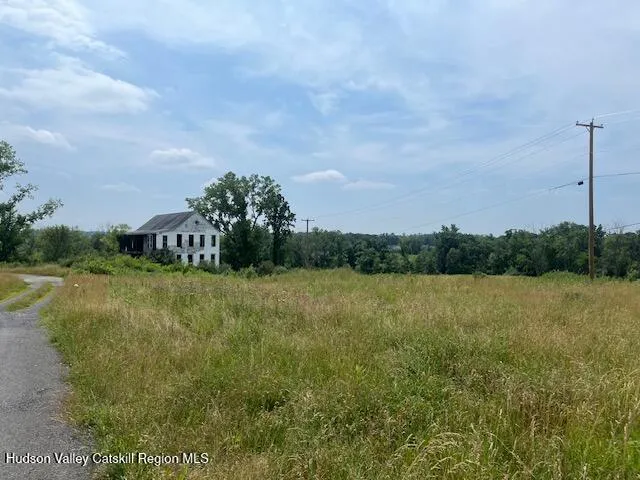 a view of a street with a yard and a large tree