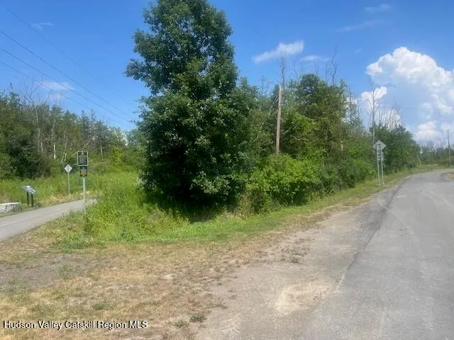 a view of a yard in front of a house