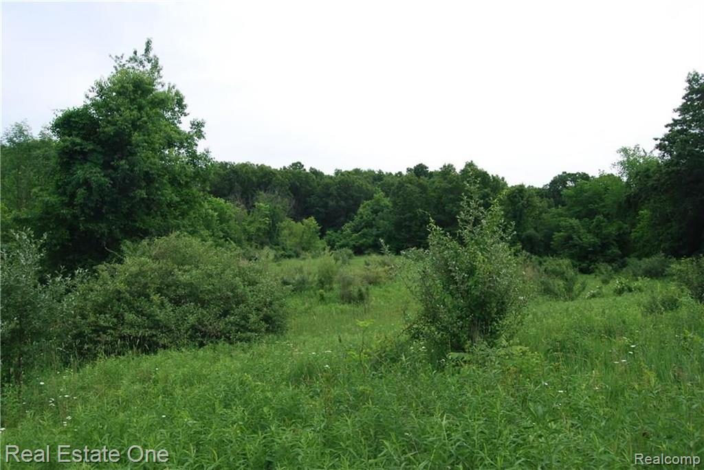 V/l Perry Lake Road Ortonville, MI 48462 - Photo 5 of 30 Gallery Image 5