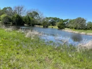 a view of a lake with trees in the background