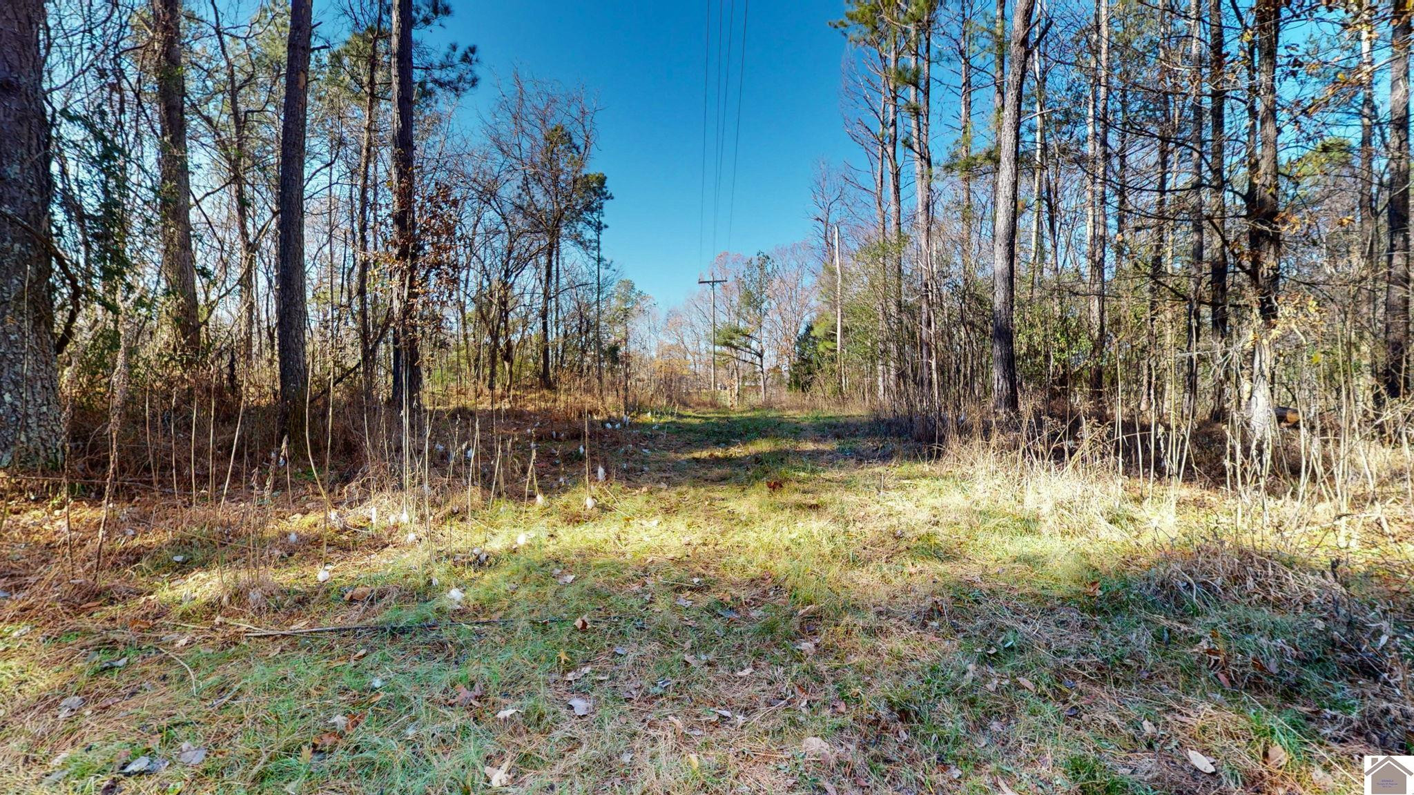 Protemus Road Murray, KY 42071 - Photo 8 of 15 Photo 8