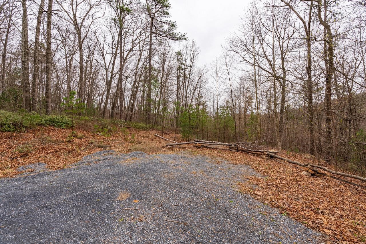 Rabbits Foot Road Hinton, VA 22831 - Photo 11 of 12 Gallery Image 11