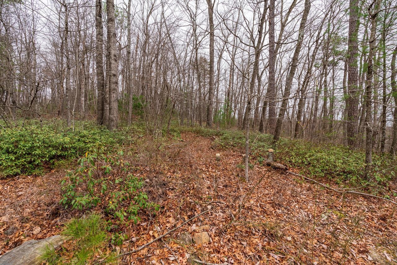 Rabbits Foot Road Hinton, VA 22831 - Photo 12 of 12 Gallery Image 12