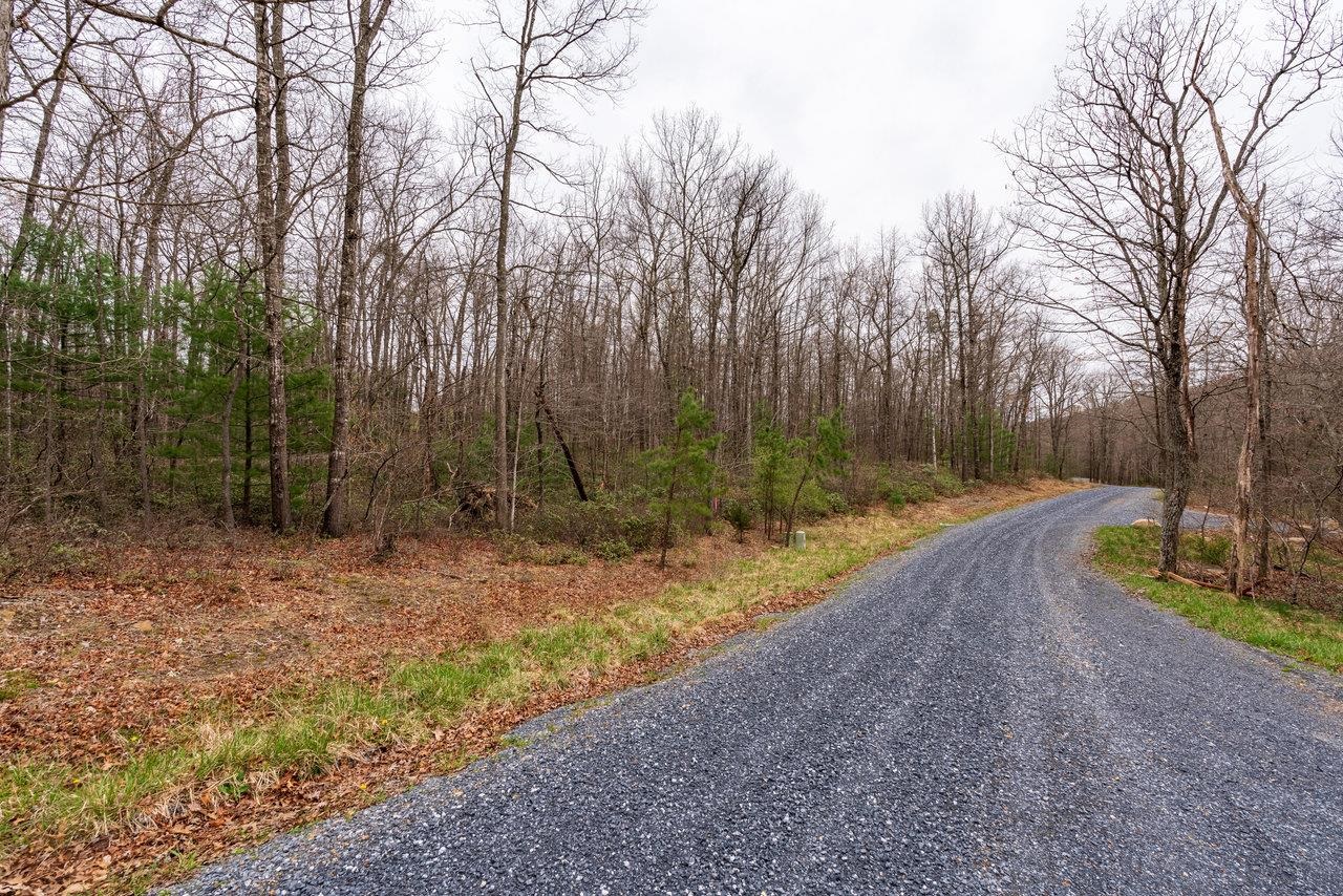 Rabbits Foot Road Hinton, VA 22831 - Photo 10 of 12 Gallery Image 10