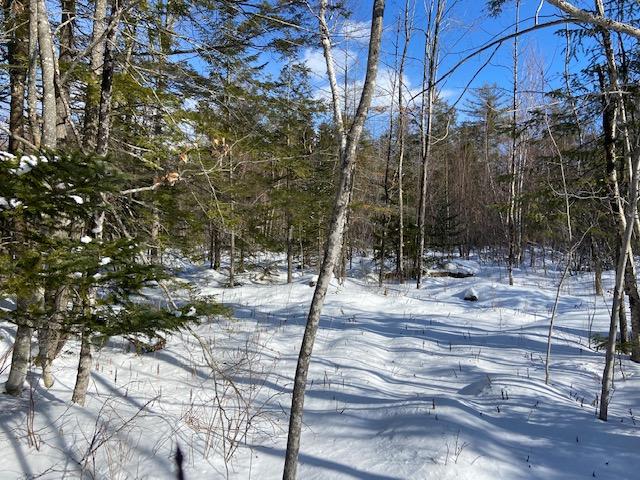 340 Norridgewock Road Fairfield, ME 04937 - Photo 6 of 6 IMG_2696