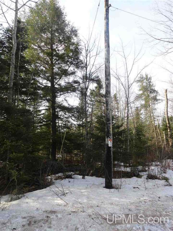 116-acres 116-acres Co Road Negaunee, MI 49866 - Photo 17 of 37