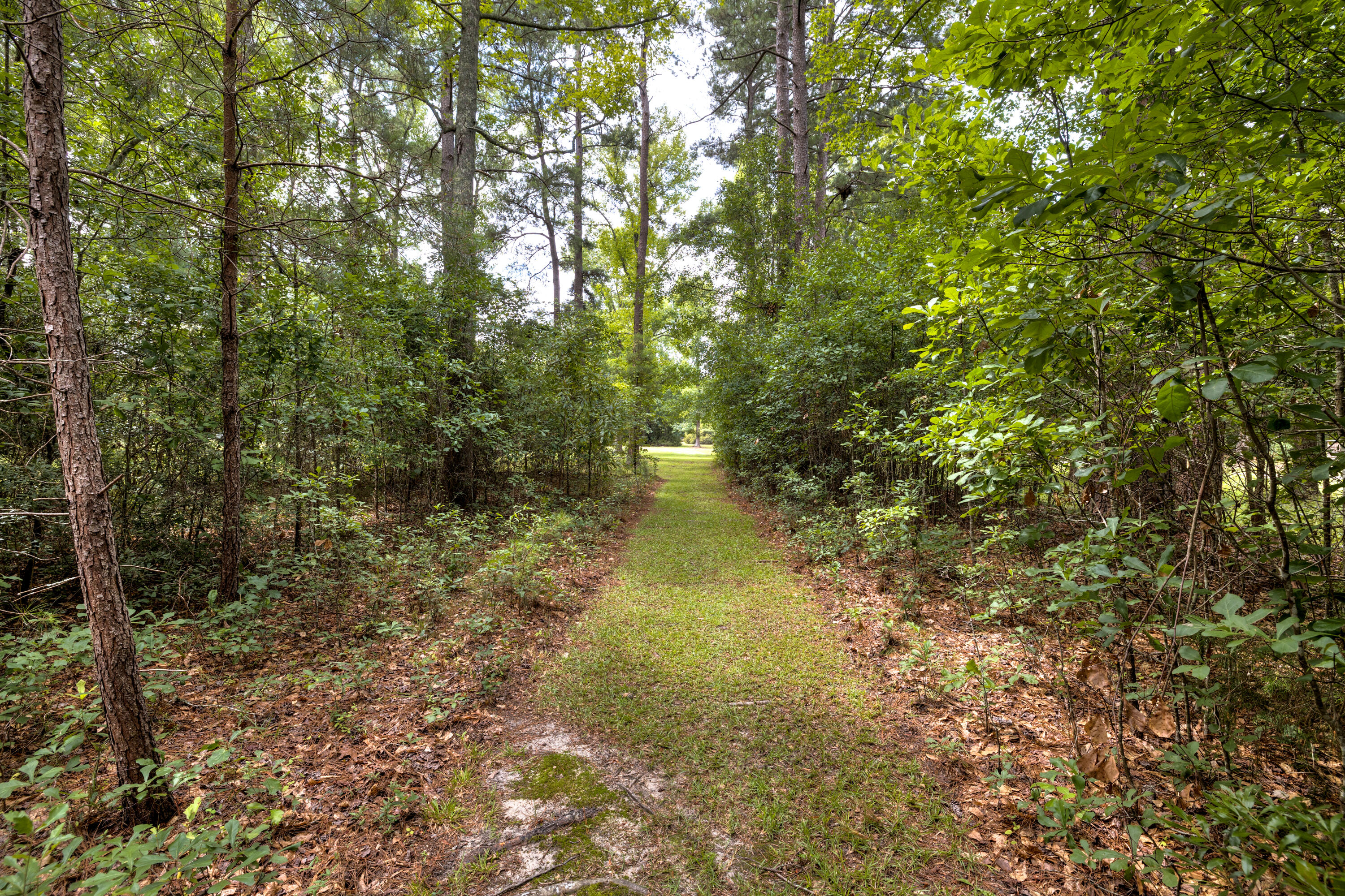 4385 Muriel Street Sumter, SC 29154 - Photo 35 of 40 12