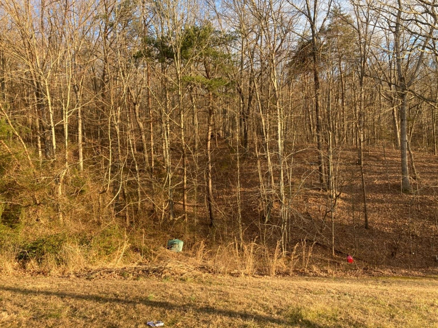 2334 Dreyfus Road Waco, KY 40385 - Photo 19 of 41 Photo 19
