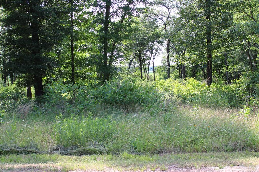 116 Lakeview Trail Mabank, TX 75147 - Photo 4 of 13 Wooded lot featuring mature trees and natural vegetation