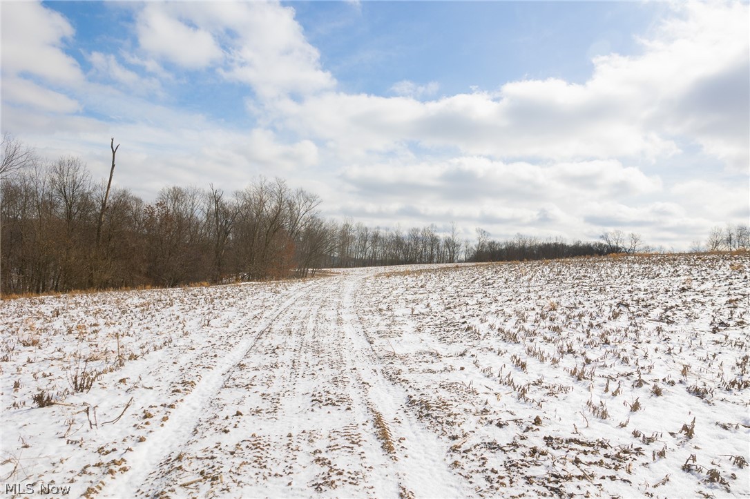 15550 Hunter Road Danville, OH 43014 - Photo 8 of 46 Gallery Image 8