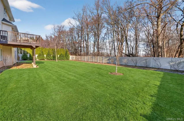 a view of a park with a slide