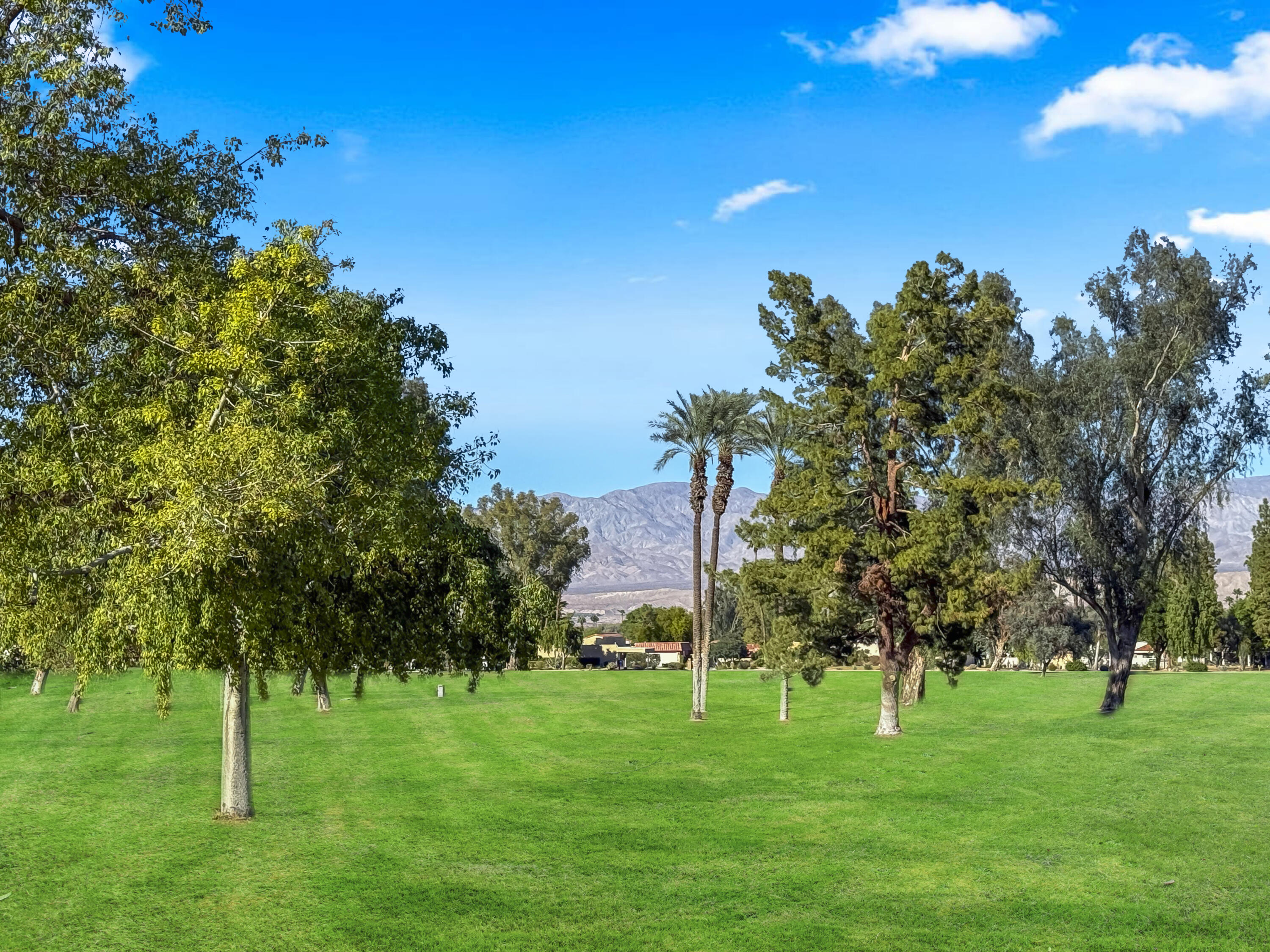 41476 Inverness Way Palm Desert, CA 92211 - Photo 27 of 37 a view of a park with large trees