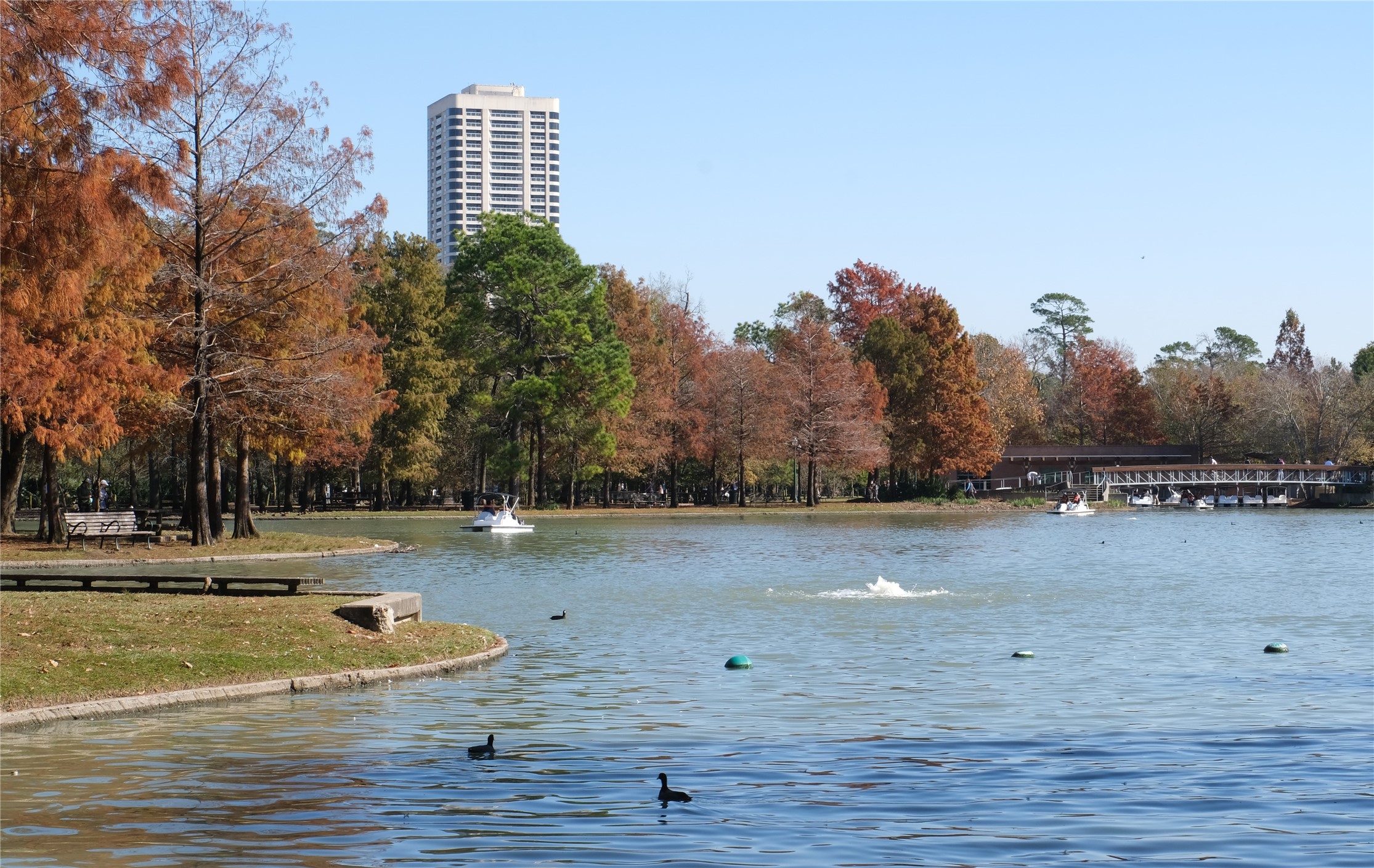 1701 Hermann Drive, Unit 34L Houston, TX 77004 - Photo 35 of 37 Who needs autumn in New York when you can have the Parklane in November.