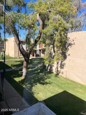 a view of swimming pool with a lounge chairs