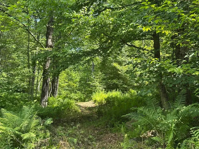 $200,000 | 0 Vermont Route 103, Chester, VT 05143