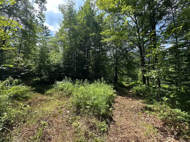 $200,000 | 0 Vermont Route 103, Chester, VT 05143