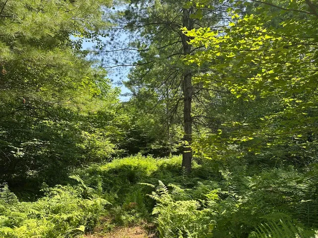 $200,000 | 0 Vermont Route 103, Chester, VT 05143