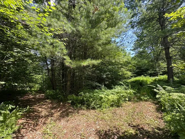 $200,000 | 0 Vermont Route 103, Chester, VT 05143
