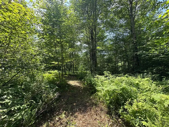 $200,000 | 0 Vermont Route 103, Chester, VT 05143