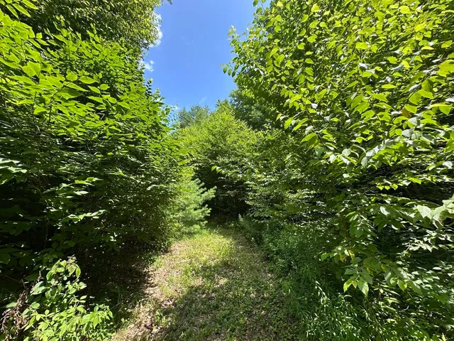 $200,000 | 0 Vermont Route 103, Chester, VT 05143