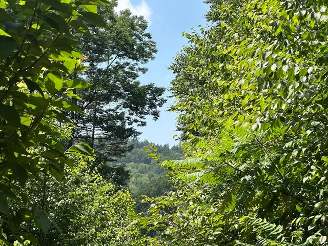 $200,000 | 0 Vermont Route 103, Chester, VT 05143