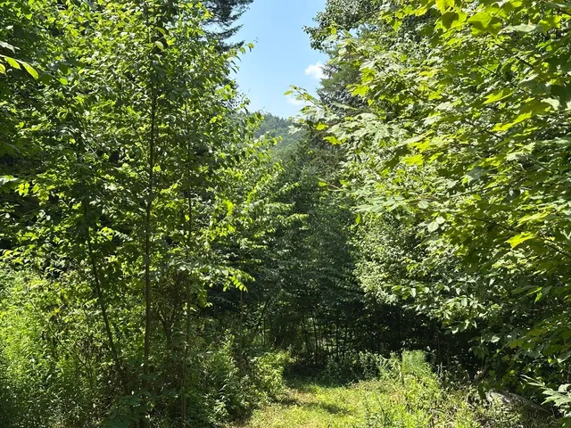 $200,000 | 0 Vermont Route 103, Chester, VT 05143