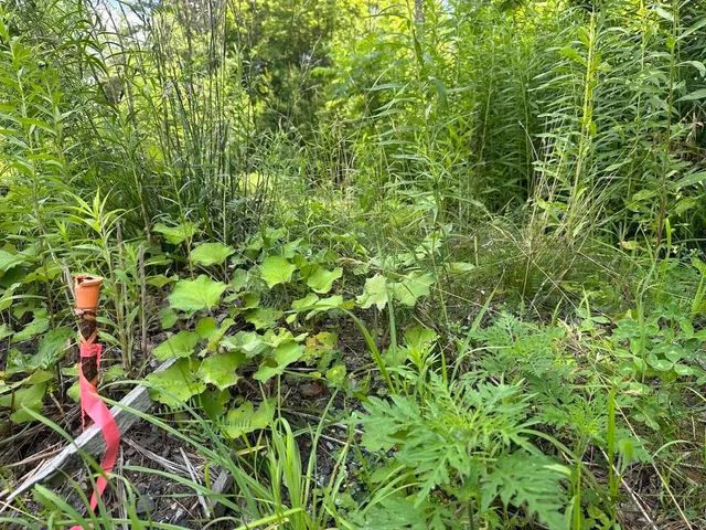 $200,000 | 0 Vermont Route 103, Chester, VT 05143