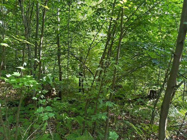 $200,000 | 0 Vermont Route 103, Chester, VT 05143