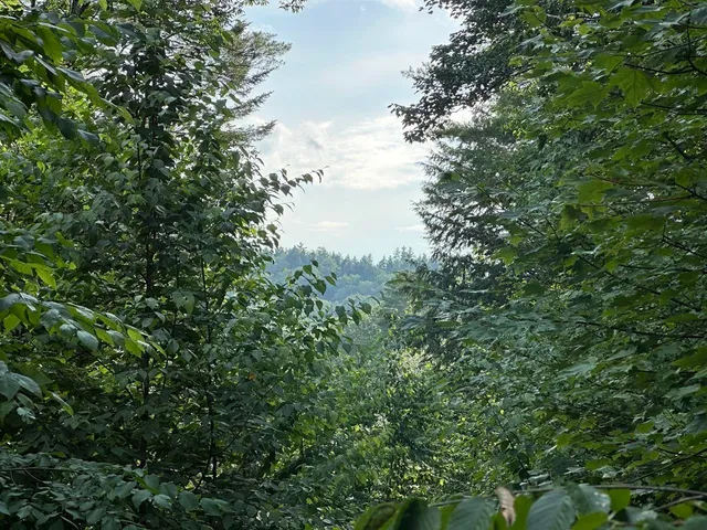 $200,000 | 0 Vermont Route 103, Chester, VT 05143