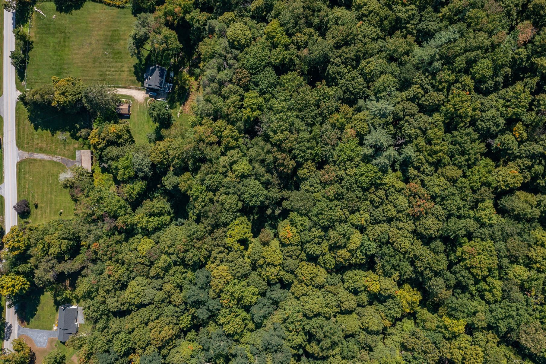 2937 Dorset West Road Dorset, VT 05251 - Photo 12 of 12