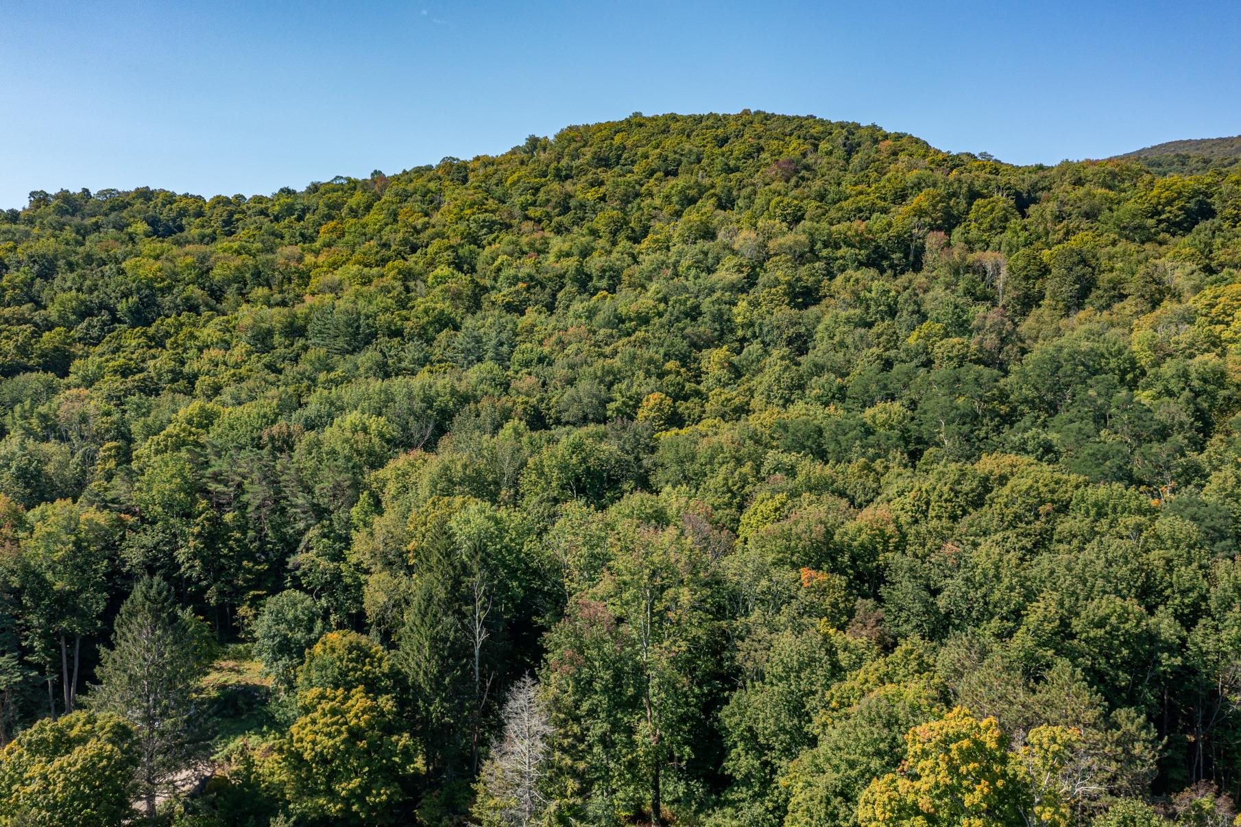 2937 Dorset West Road Dorset, VT 05251 - Photo 7 of 12