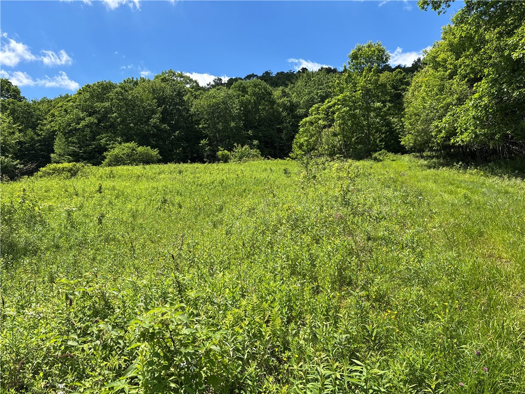 2613 Murphy Hill Road Andes, NY 13731 - Photo 30 of 35