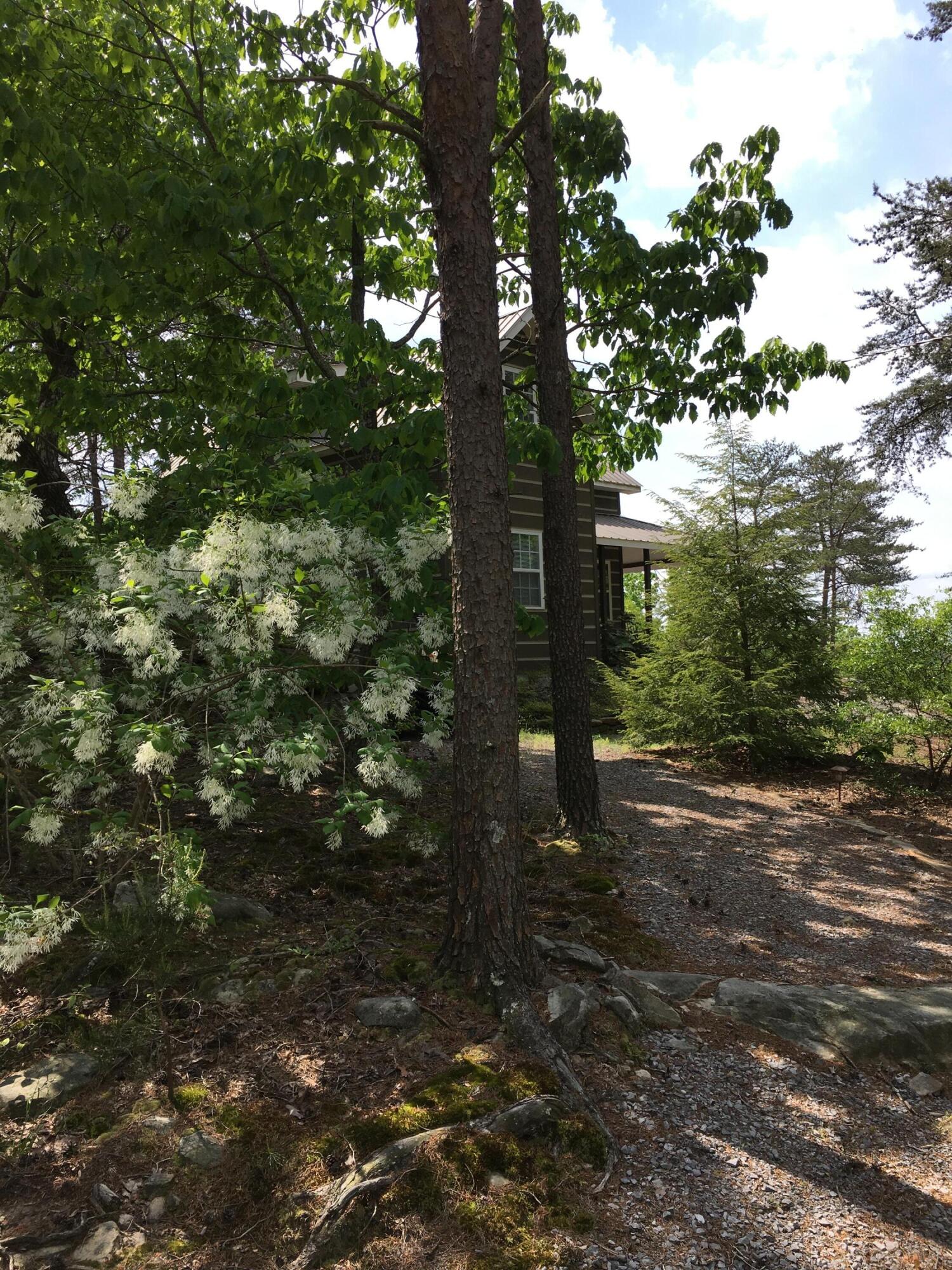 0 Shadwick Road Graysville, TN 37338 - Photo 23 of 62 22