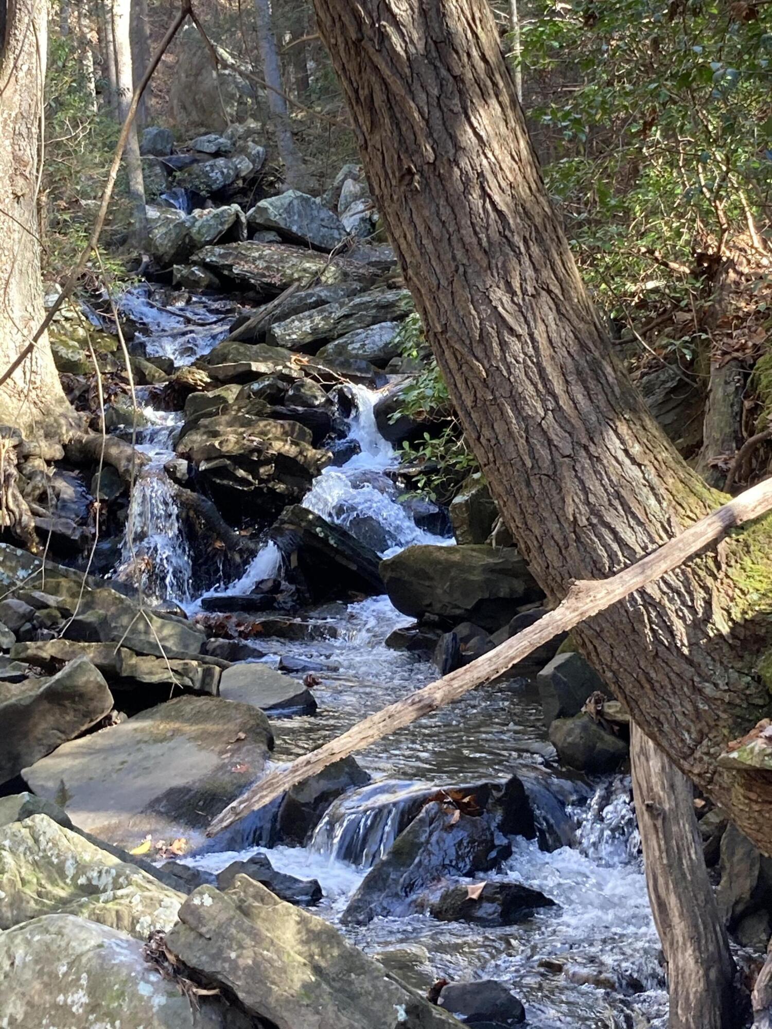 0 Shadwick Road Graysville, TN 37338 - Photo 34 of 62 36