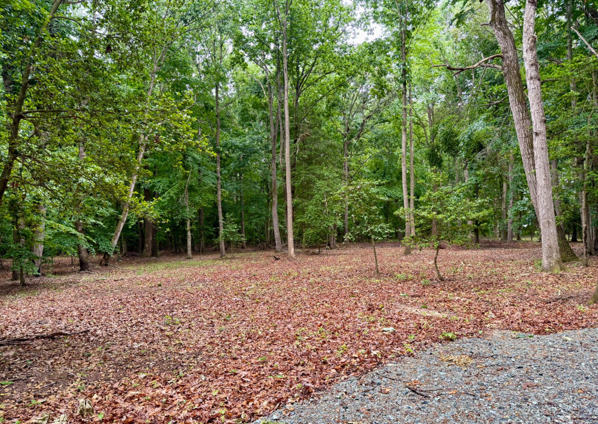0 Utica Road, Unit PARCEL 4 Greenwood, DE 19950 - Photo 7 of 8 a view of a backyard with trees
