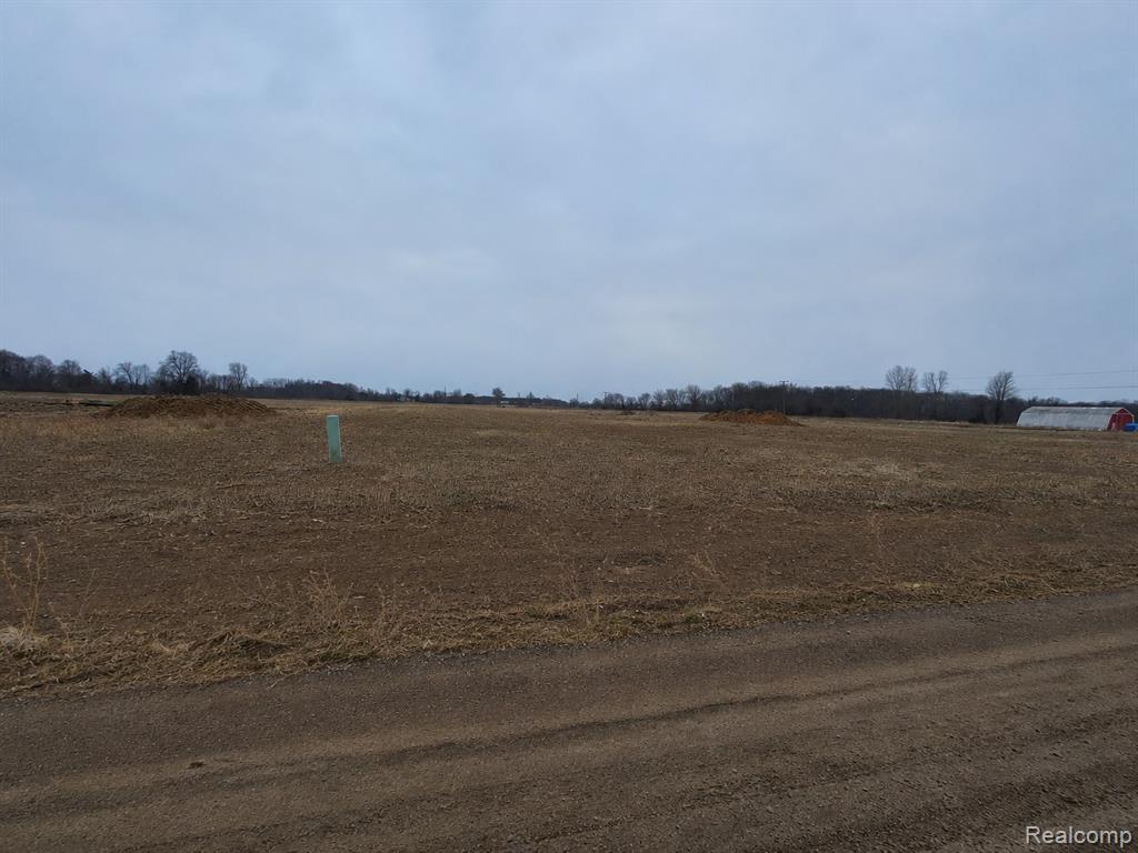 2969 Reeves Road Memphis, MI 48041 - Photo 2 of 7