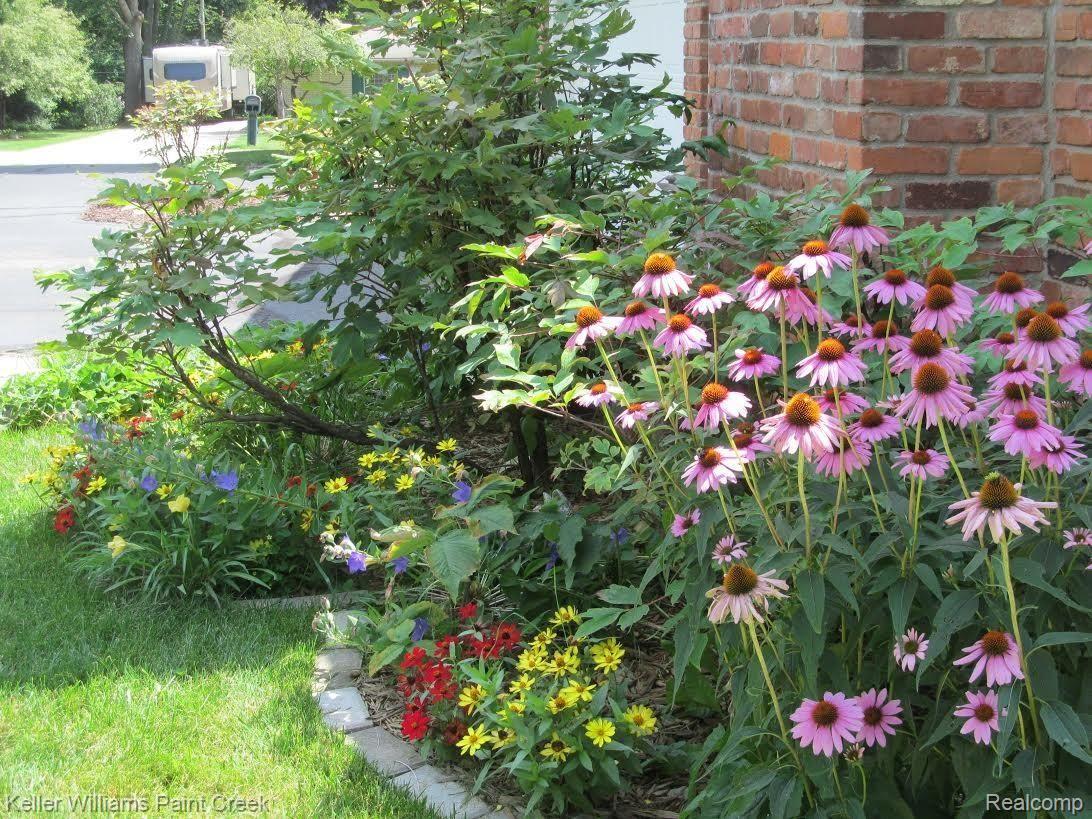 461 Gunder Drive Rochester, MI 48309 - Photo 26 of 29 landscaping4.jpg